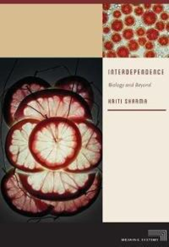 Interdependence