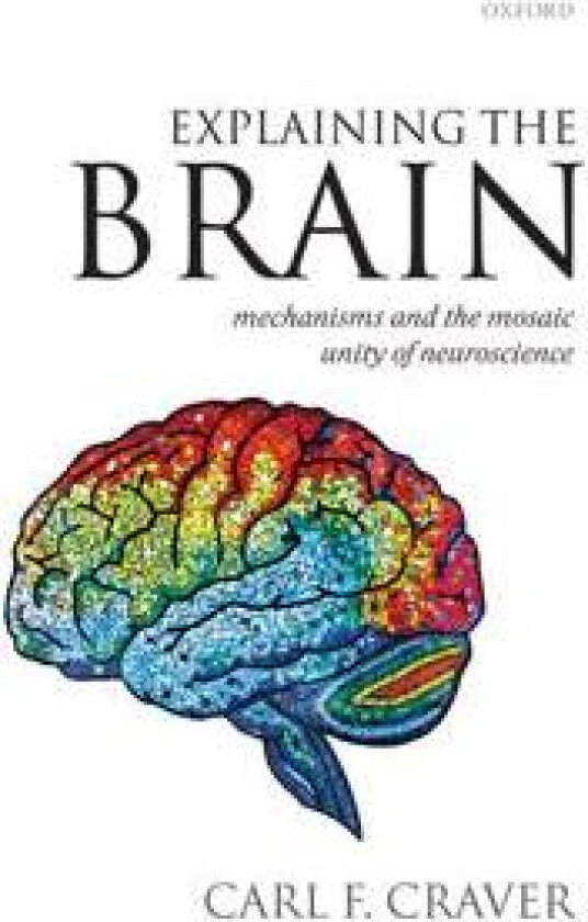 Explaining the Brain