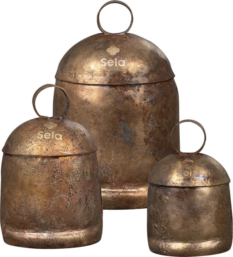 Harmony Noah Bell Set D Major