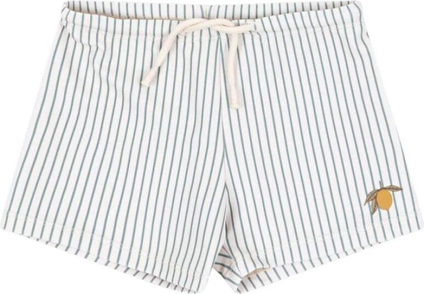 Aster Badeshorts Tea Stripe | Blå | 3 years