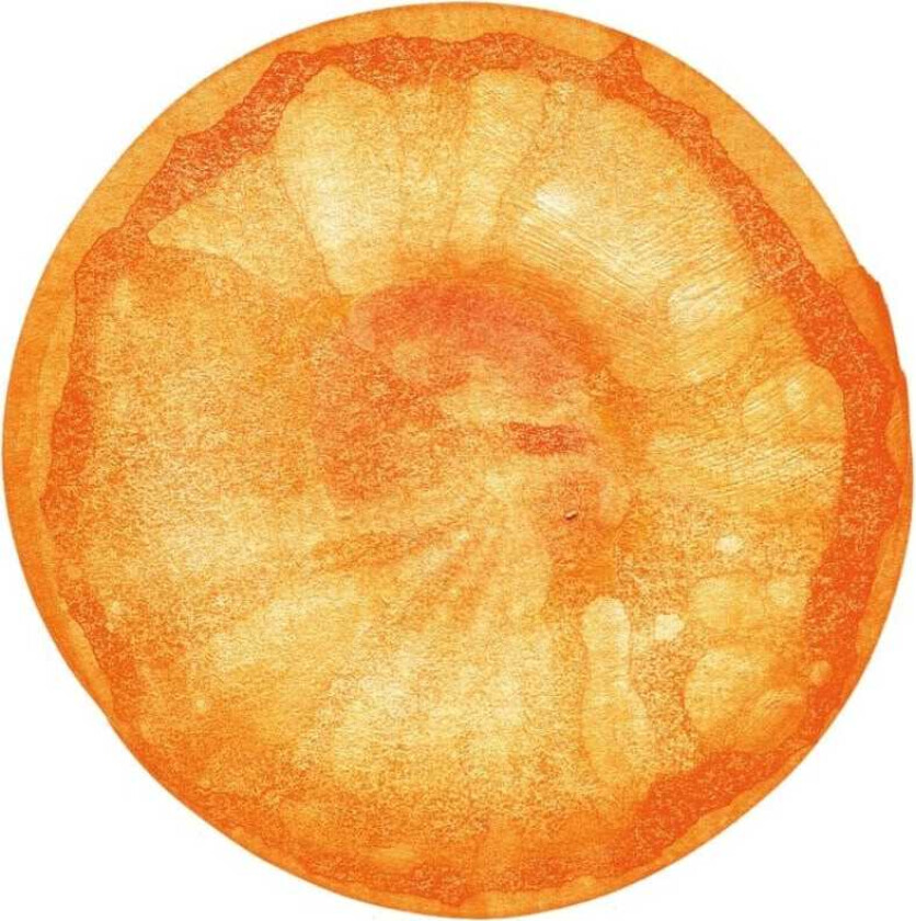 Fishmans Uchu (universe): The Best Of Fishmans LP/Vinyl