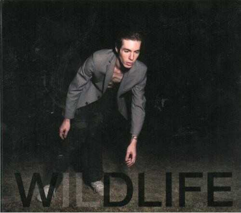 The Icarus Line Wildlife CD