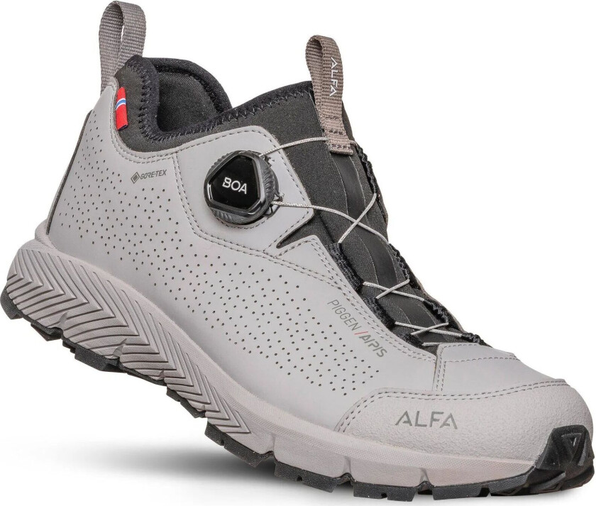 Piggen A/p/s Gtx M Light Grey 46