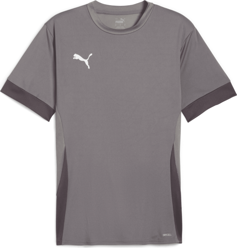 teamGOAL Matchday Jersey, treningstrøye, herre Cast Iron-PUMA White