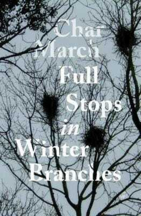Full Stops in Winter Branches