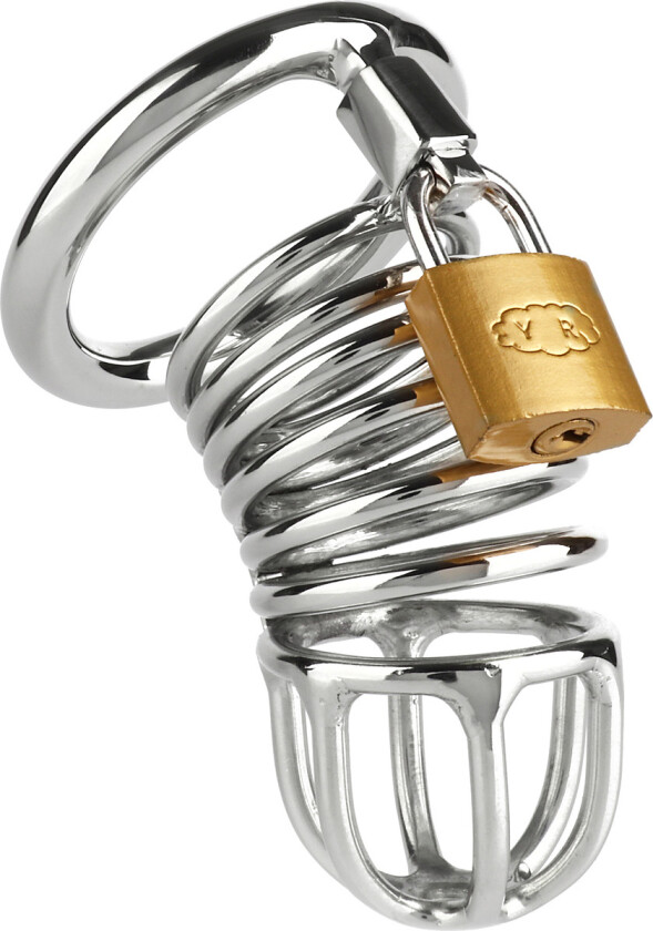 Mr Steel: Ring Master Chastity Device