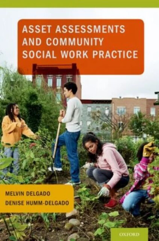 Asset Assessments and Community Social Work Practice av Melvin (Professor of Social Work & Chair Delgado