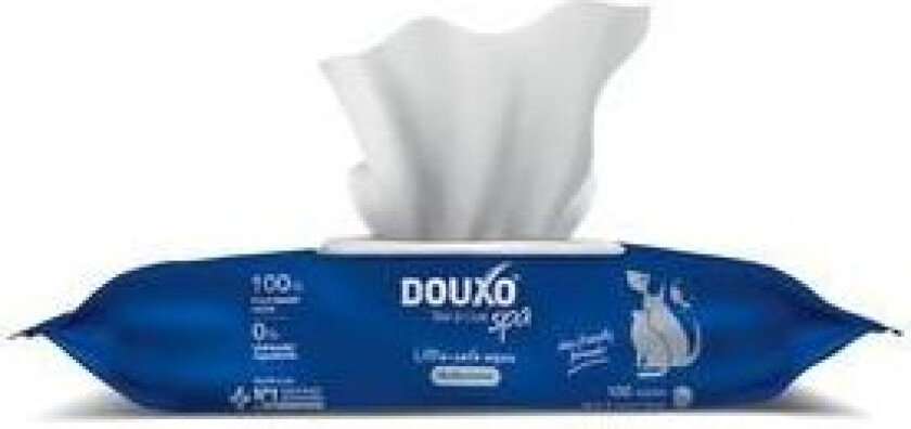 Bilde av SPA Wipes - 100 stk.