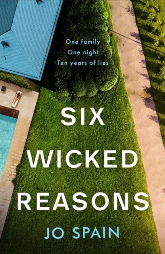 Six Wicked Reasons av Jo Spain