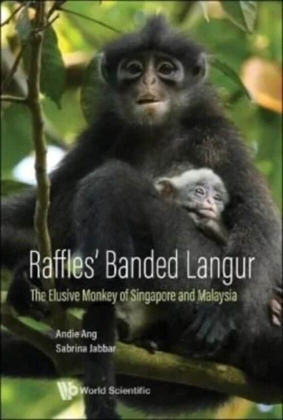 Raffles' Banded Langur: The Elusive Monkey Of Singapore And Malaysia av Andie (Mandai Nature S'pore & Raffles' Banded Langur Workin