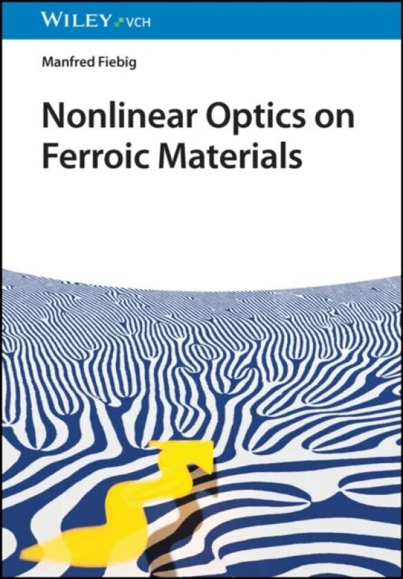 Nonlinear Optics on Ferroic Materials av Manfred Fiebig