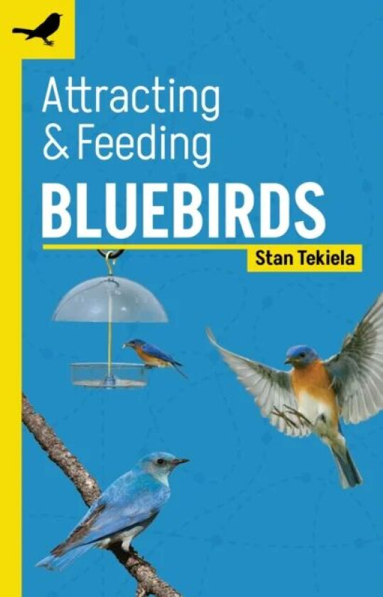 Attracting & Feeding Bluebirds av Stan Tekiela