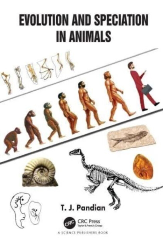 Evolution and Speciation in Animals av T. J. (Madurai Kamaraj University Tamilnadu India) Pandian