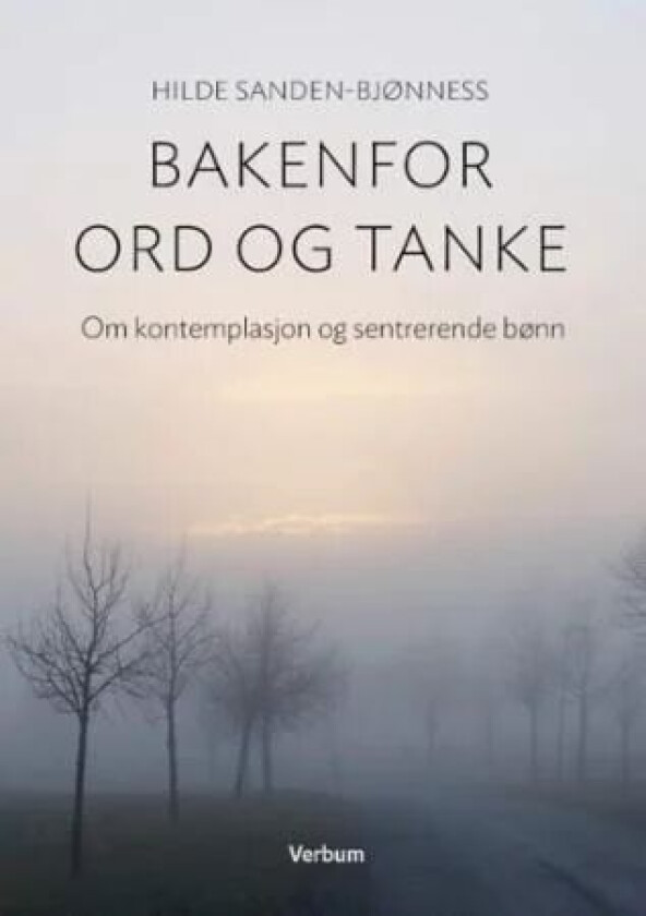 Bakenfor ord og tanke av Hilde Sanden-Bjønness