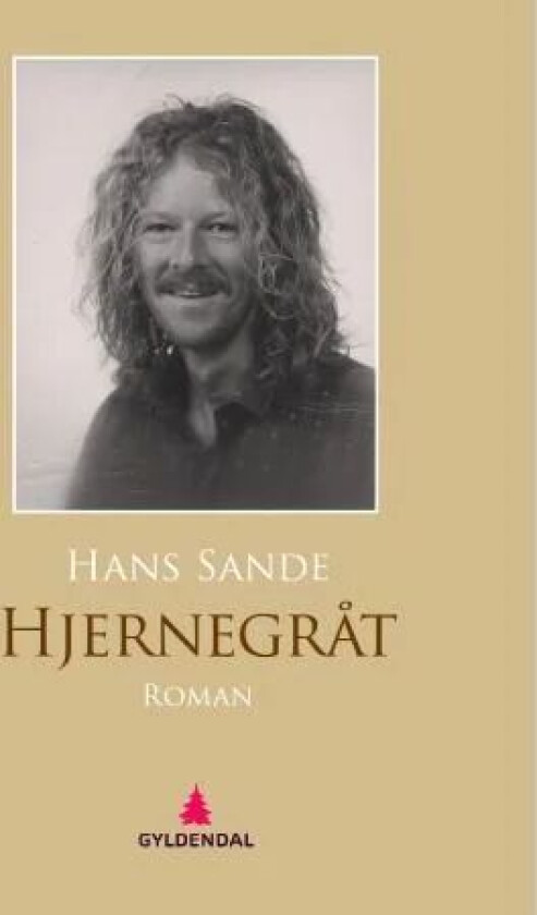 Hjernegråt av Hans Sande