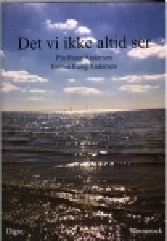 Det vi ikke altid ser | Pia Rung Andersen | Språk: Dansk