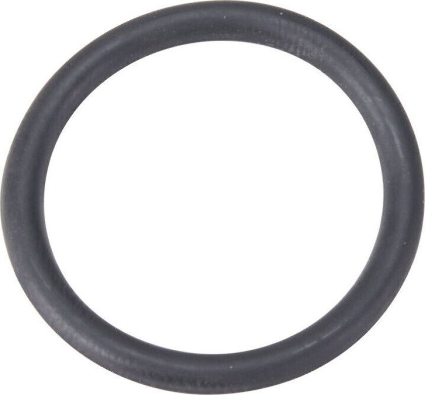 O-ring, 24,5x3