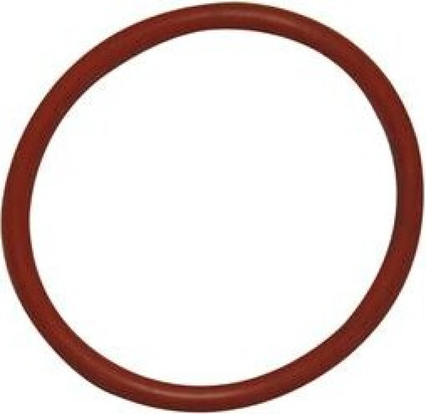 O-ring