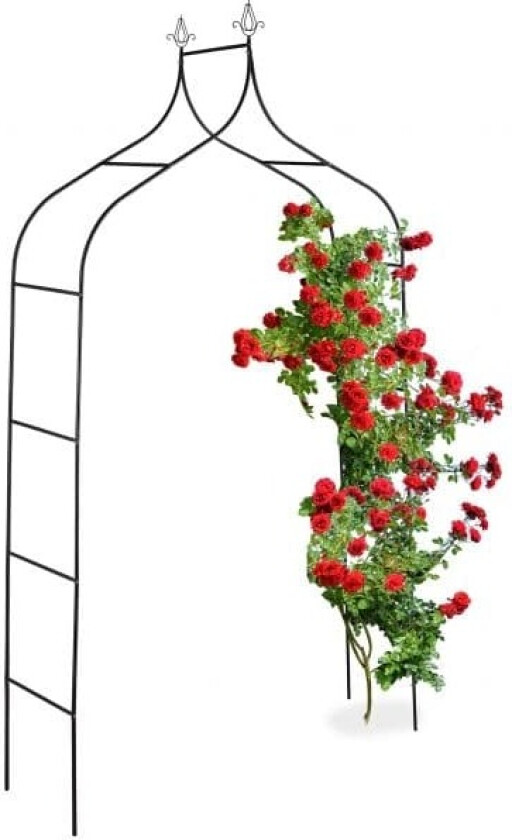 Rosebue 260 cm høy
