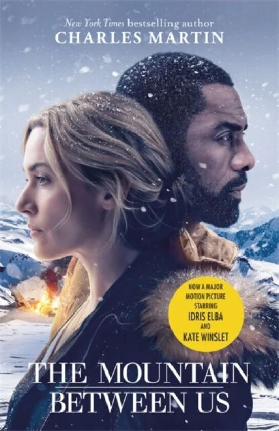 The Mountain Between Us av Charles Martin