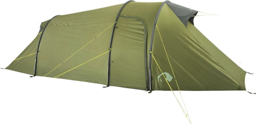Grønland 2, telt, grønn