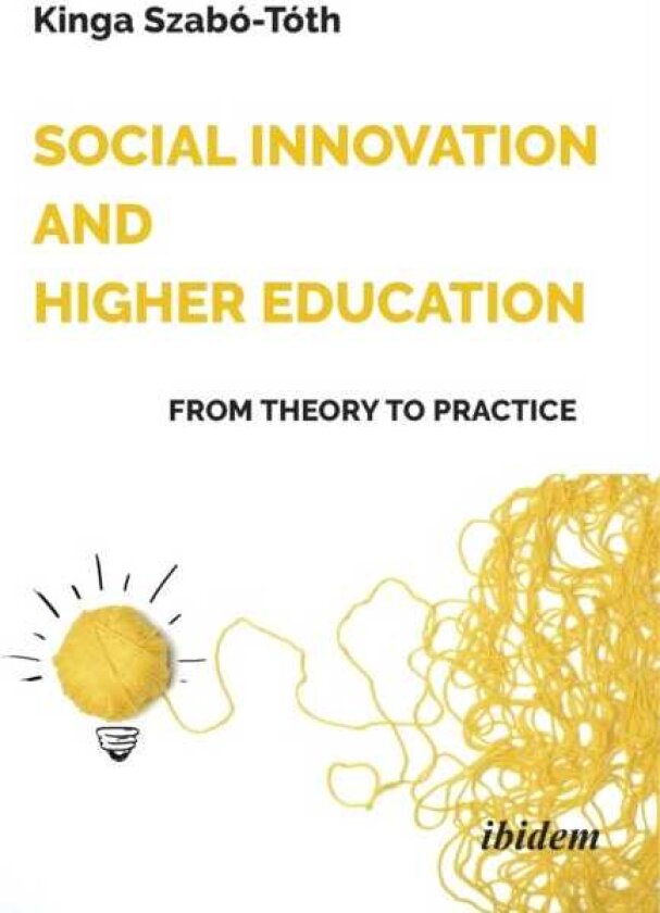 Social Innovation and Higher Education: From Theory to Practice