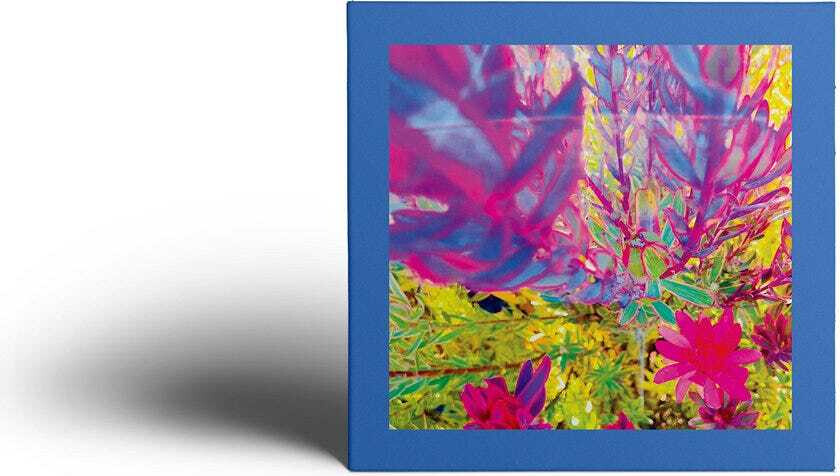 The Reds, Pinks And Purples The Past is a Garden I Never Fed CD