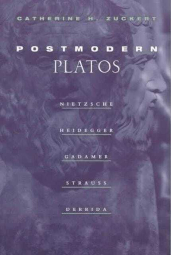 Postmodern Platos Nietzsche, Heidegger, Gadamer, Strauss, Derrida