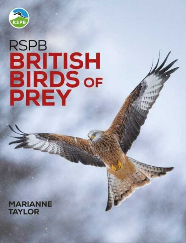 RSPB British Birds of Prey: New Edition