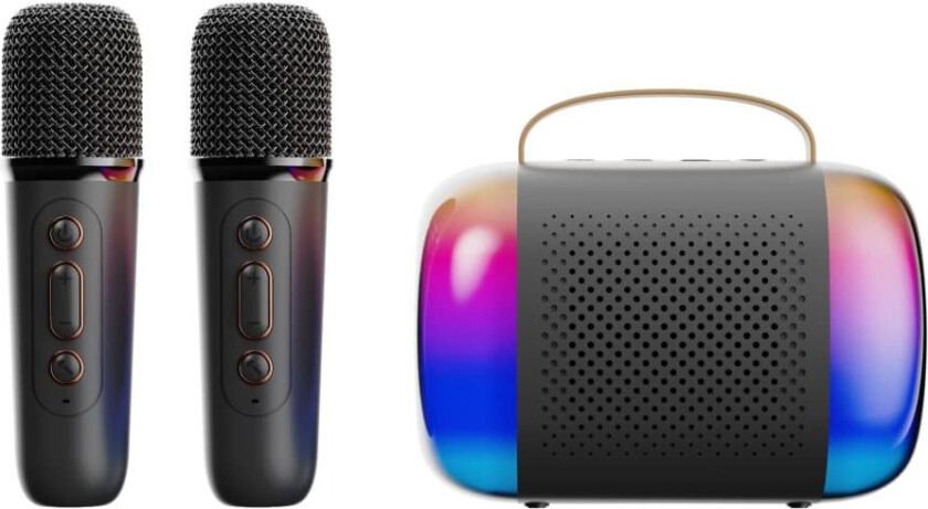 Y5-Dobbel Mikrofon Karaoke Maskin med Bluetooth Høyttaler