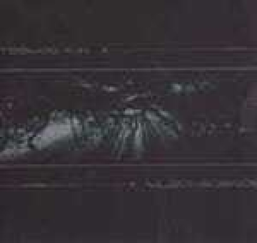 Teebee Black Science CD