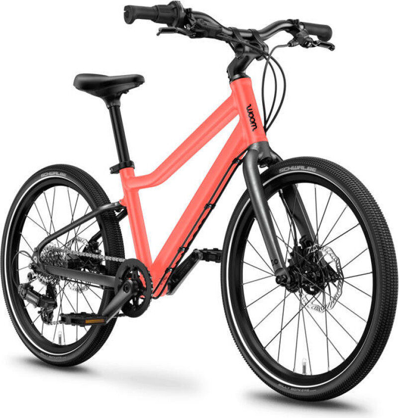 Explore 4 20" neon coral