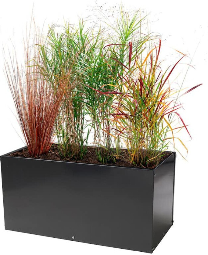 Plantekasse Skotte Garden