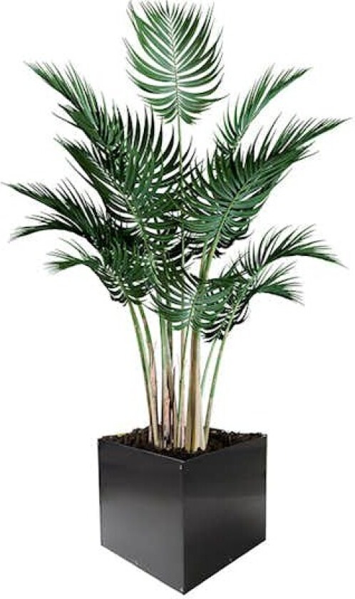 Plantekasse Skotte Garden