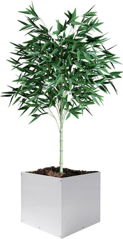 Plantekasse Skotte Garden