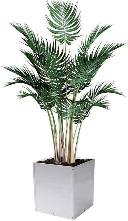 Plantekasse Skotte Garden