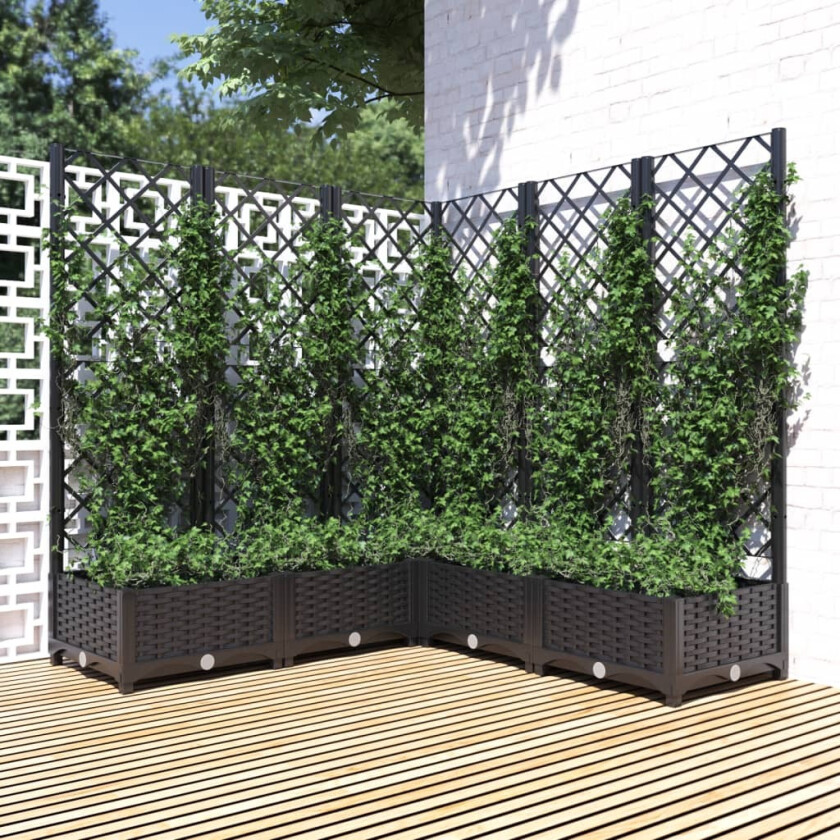 Plantekasse med espalier svart 120x120x121,5 cm PP