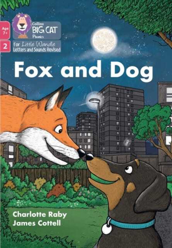 Fox and Dog Phase 2 Set 5 Blending Practice