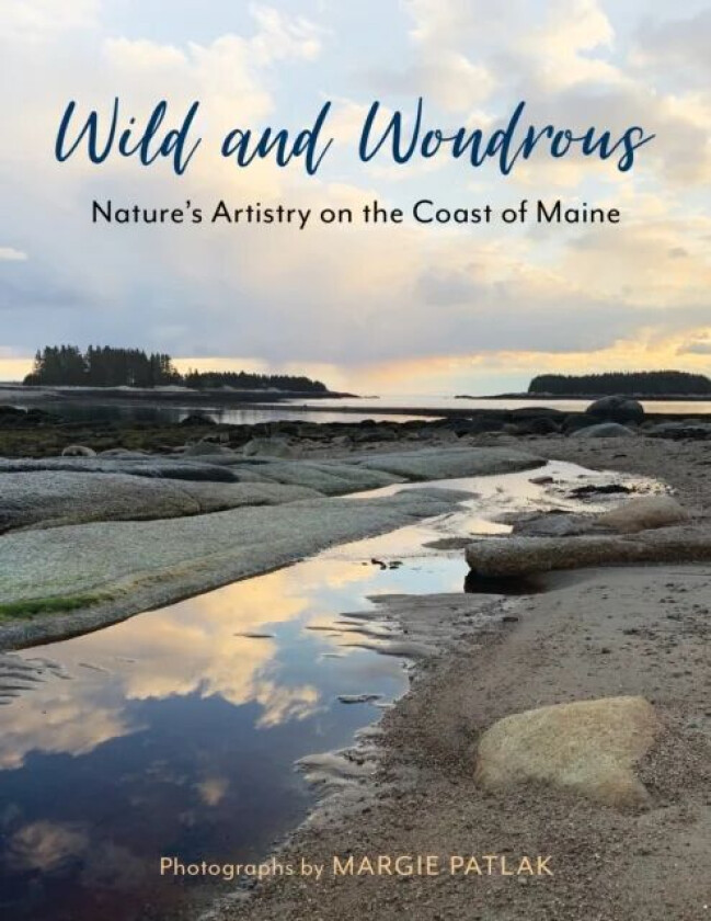 Wild and Wondrous av Margie Patlak