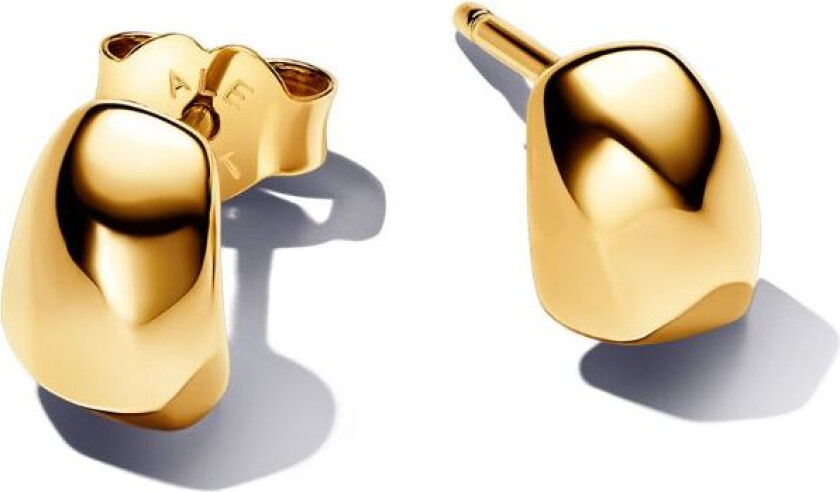 Øredobber i 925 forgylt sølv