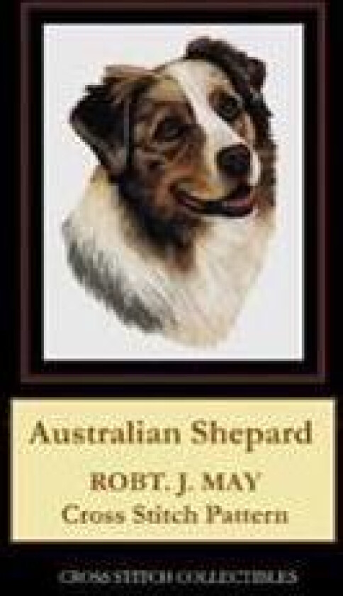 Australian Shepard