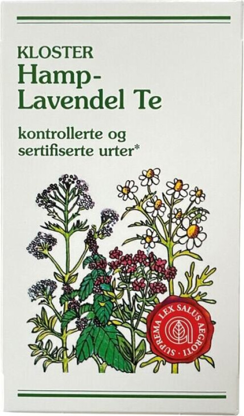 Kloster Hamp-Lavendel te