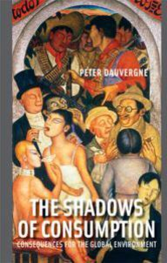 The Shadows of Consumption