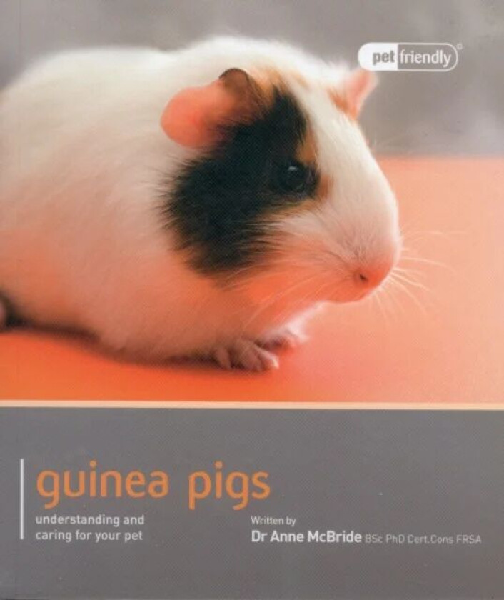 Guinea Pig - Pet Friendly av Anne Mcbride