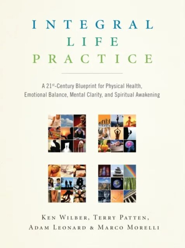 Integral Life Practice av Ken Wilber, Terry Patten, Adam Leonard, Marco Morelli