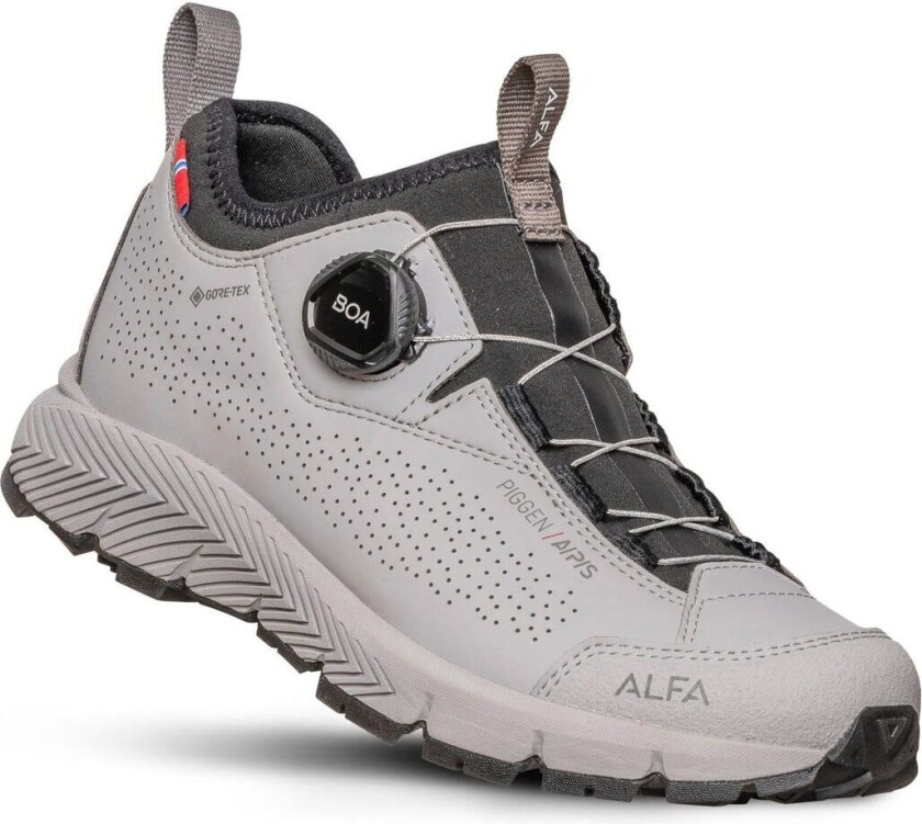 Piggen A/p/s Gtx W Light Grey 38