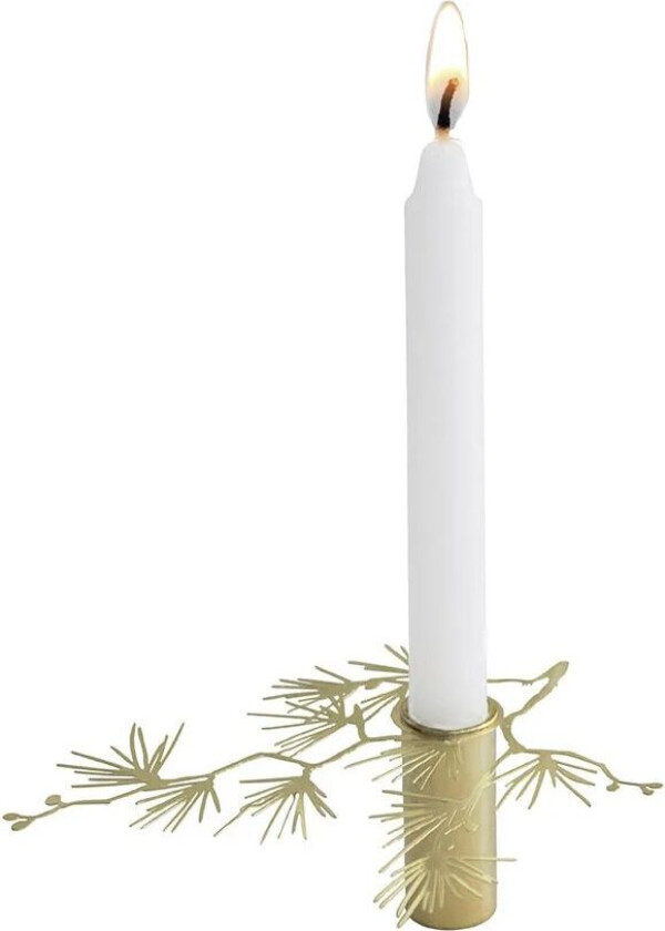 Tall lysestake liten Gull