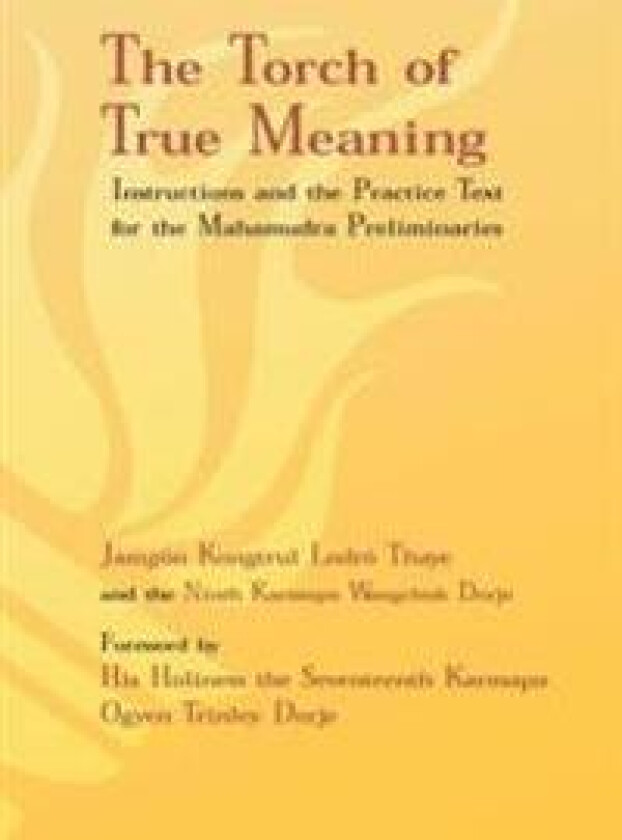 Torch of True Meaning