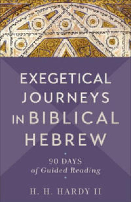 Exegetical Journeys in Biblical Hebrew