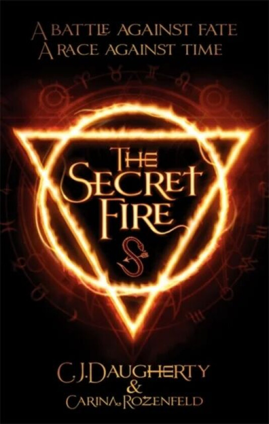 The Secret Fire av C. J. Daugherty, Carina Rozenfeld